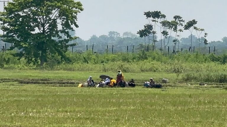 国境警備隊が女性や子供を含む13人をジョソール国境から「押し込もう」