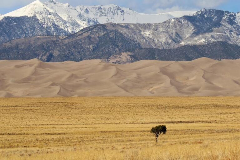気温は2030年まで記録的な高水準で推移する可能性が高い：国連