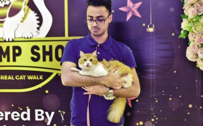 猫が資本になるとき