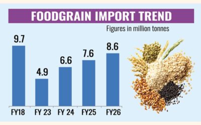 2026年度の食糧輸入量は過去2番目に多かった。