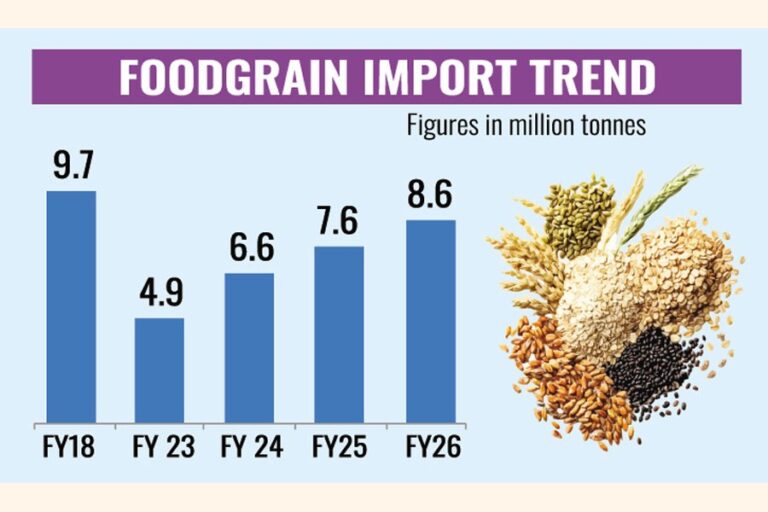 2026年度の食糧輸入量は過去2番目に多かった。