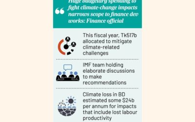 IMFは、政府の気候変動対策が国際収支に悪影響を及ぼすと診断している。