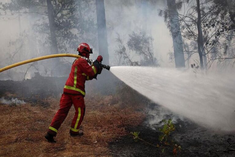ボルドー近郊で数万人が避難する中、消防士たちが山火事と闘っている。