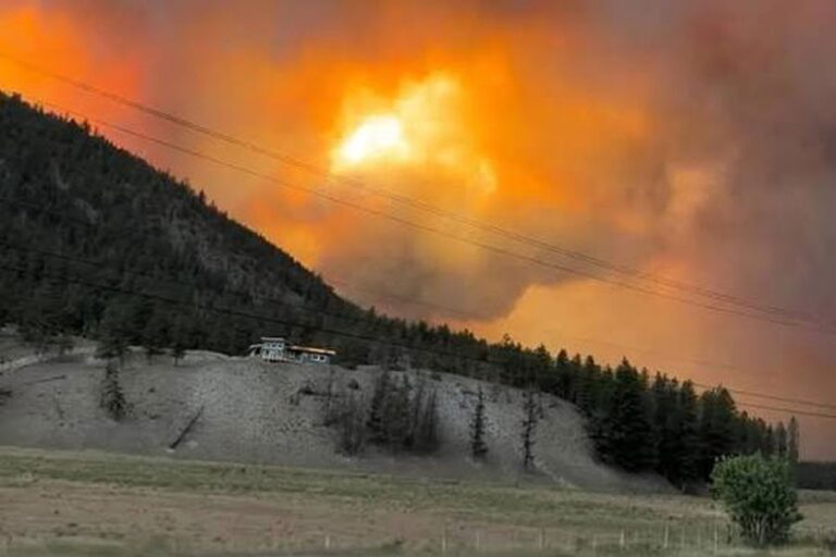 気候変動によりカナダの山火事の発生確率が2倍になった：研究結果