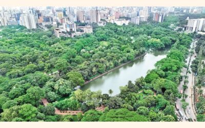 モンスーンの雨がラムナ公園に新たな息吹をもたらす