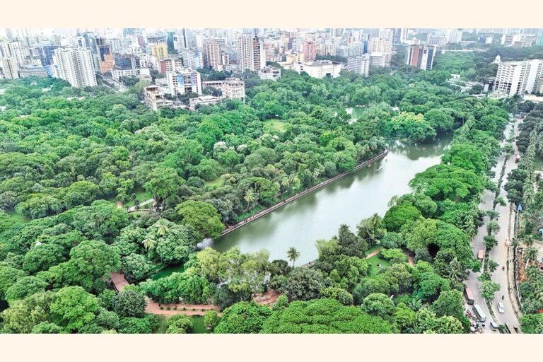 モンスーンの雨がラムナ公園に新たな息吹をもたらす
