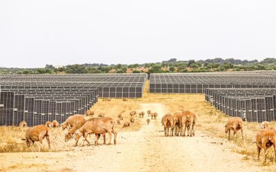 日食がヨーロッパの電力不足をさらに深刻化させる恐れがある
