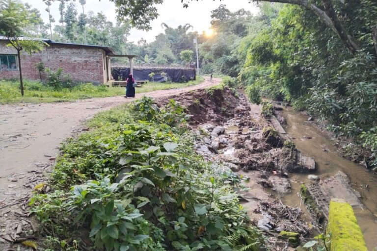 森林局の反対により、2億2000万タカの道路開発プロジェクトが中止に