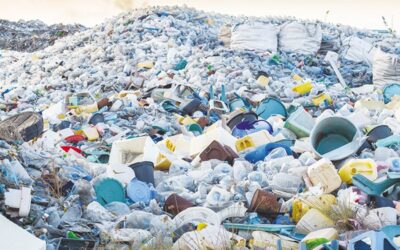 生産者はプラスチック廃棄物管理の責任を負うことになった