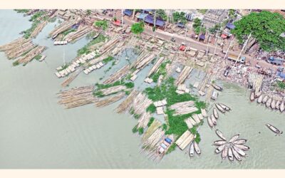 商人は国内のさまざまな地域から竹を運んでくる。
