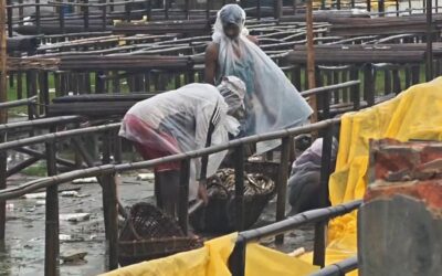 突風がナジラルテクの干物市場を襲う