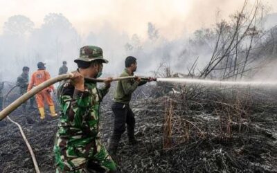 インドネシア、危険な煙霧を引き起こした山火事の消火活動を強化