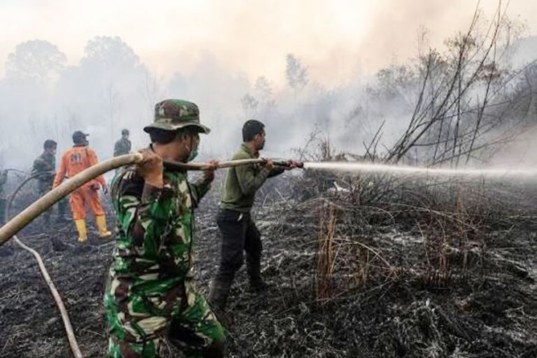インドネシア、危険な煙霧を引き起こした山火事の消火活動を強化