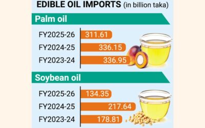 パーム油の輸入量は大豆油をはるかに上回っている。