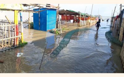 ラジシャヒでパドマ川が増水し、チャール地域が水没
