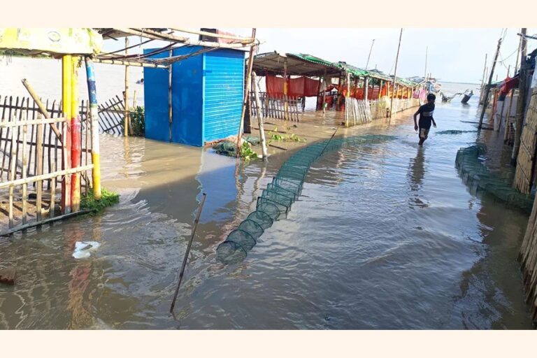 ラジシャヒでパドマ川が増水し、チャール地域が水没